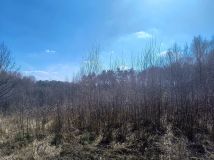 Działka budowlana Jastrzębie-Zdrój Bzie Dolne, ul. Borowikowa. Zdjęcie 1