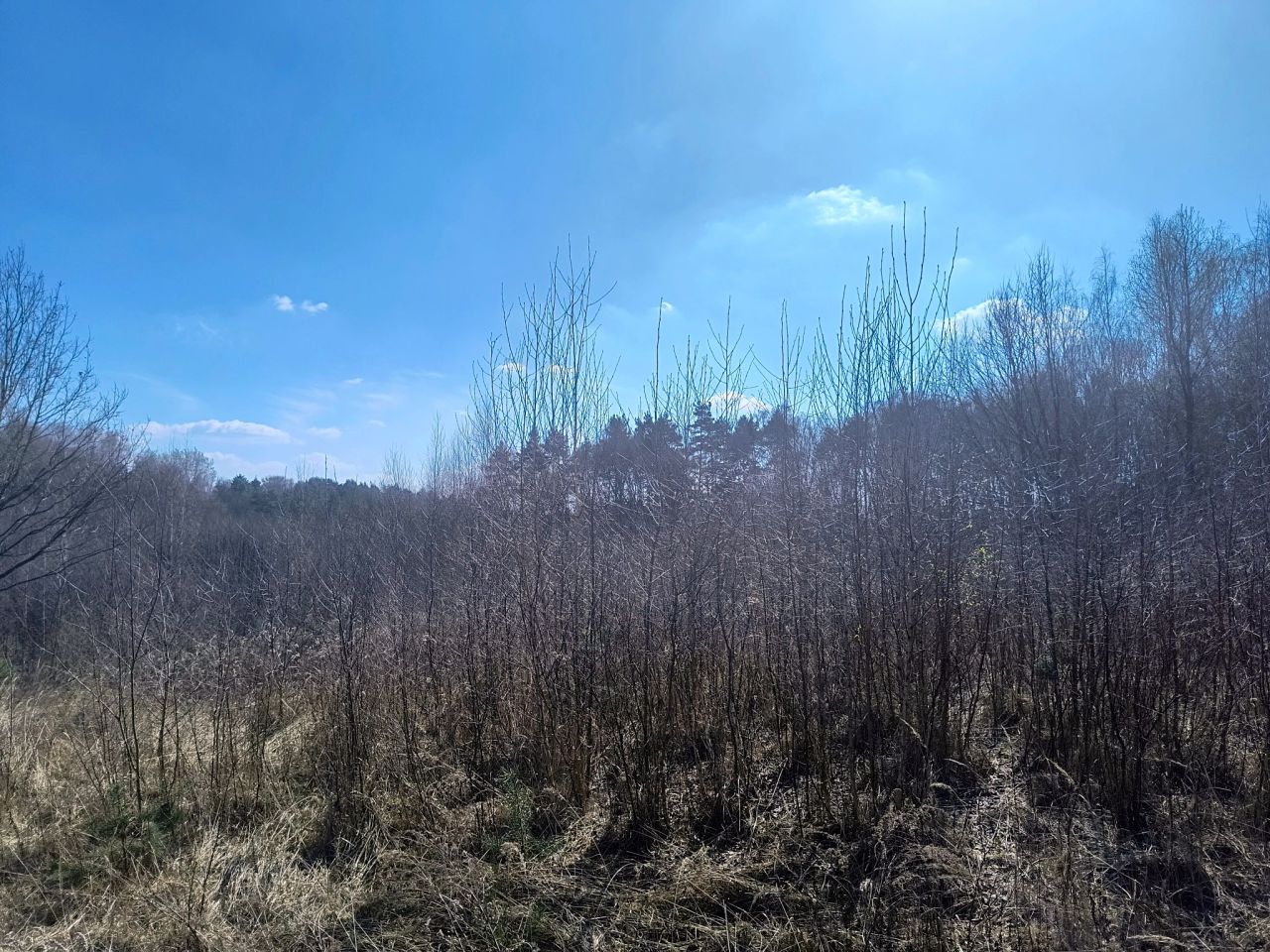 Działka budowlana Jastrzębie-Zdrój Bzie Dolne, ul. Borowikowa. Zdjęcie 2