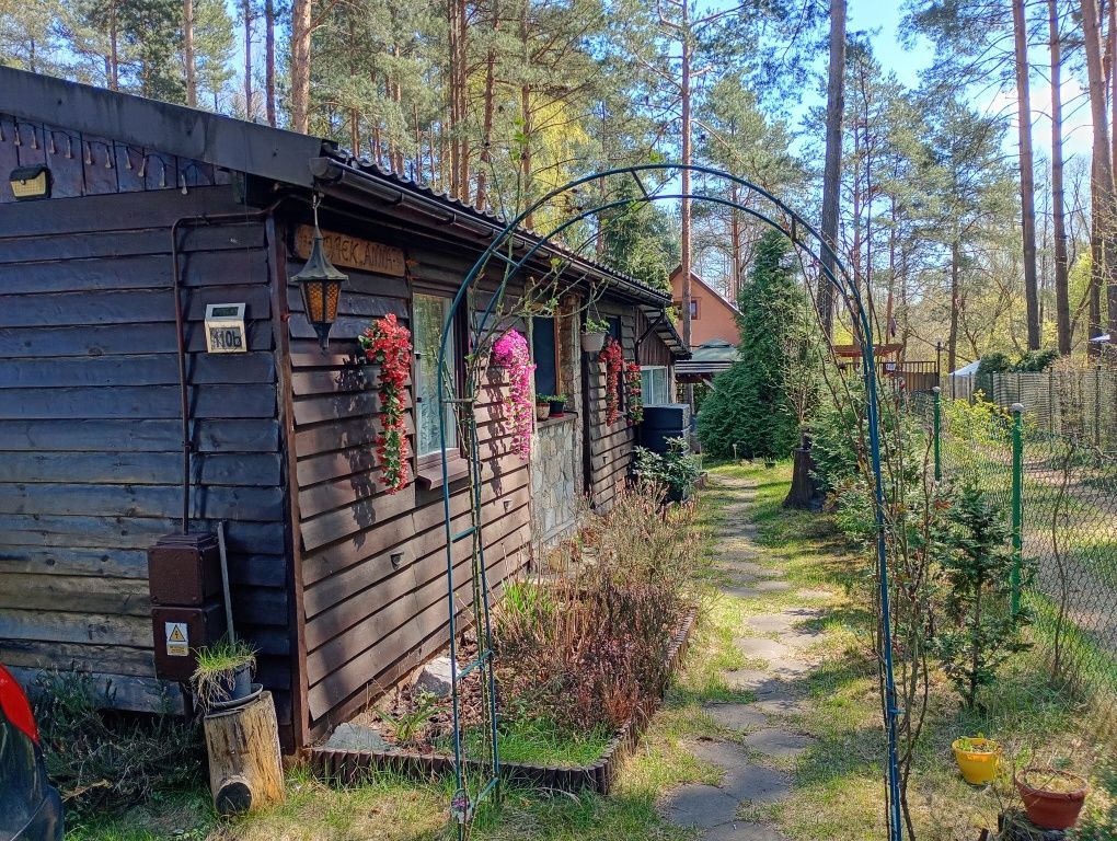 dom letniskowy, 2 pokoje Czekanka. Zdjęcie 3