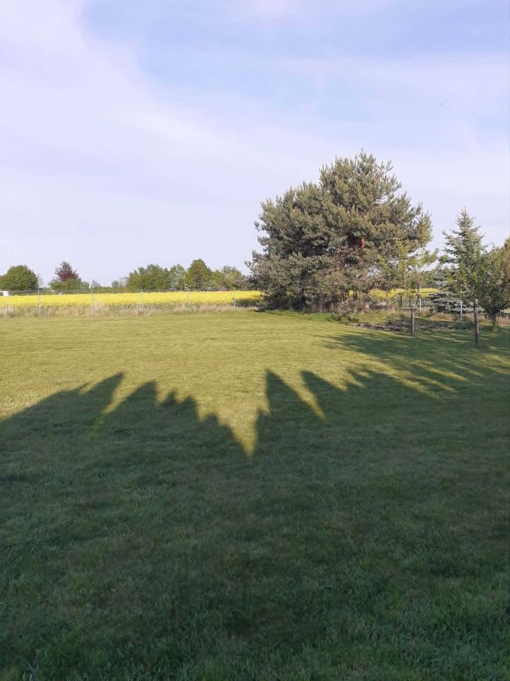 Działka rolno-budowlana Nowy Krępiec, ul. Skośna. Zdjęcie 4