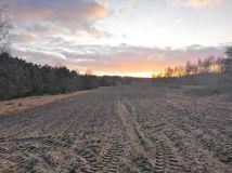 Działka inwestycyjna Nowiny, ul. Podlesie. Zdjęcie 3