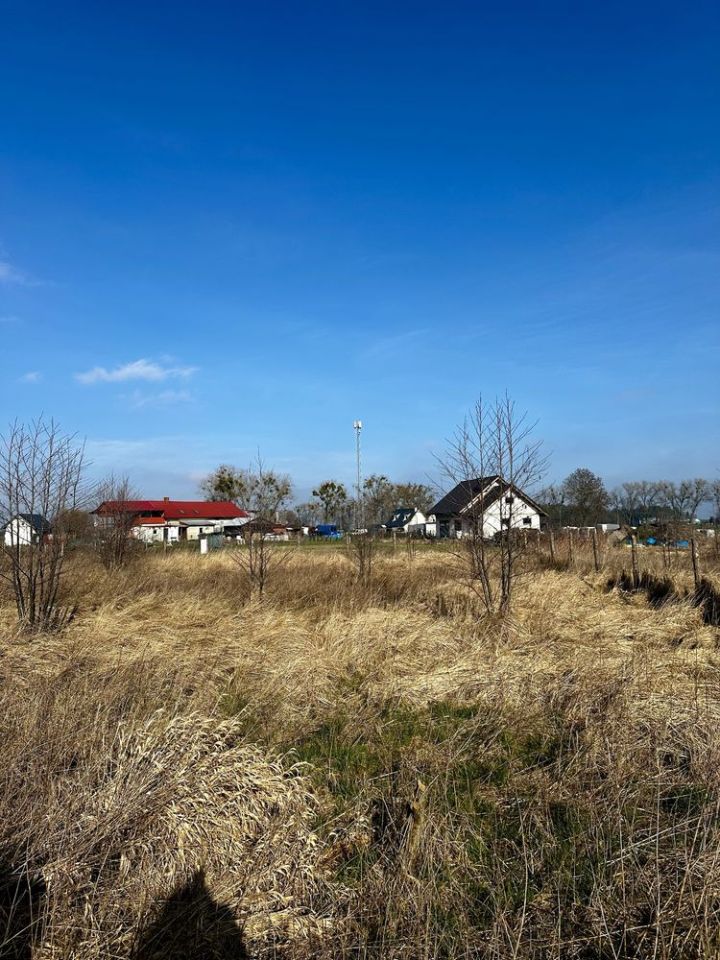 Działka rolno-budowlana Kępy Lubczyńskie. Zdjęcie 3