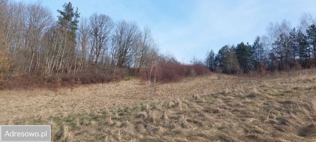 Działka rekreacyjna Brodnica Dolna, ul. Jastrzębia. Zdjęcie 4