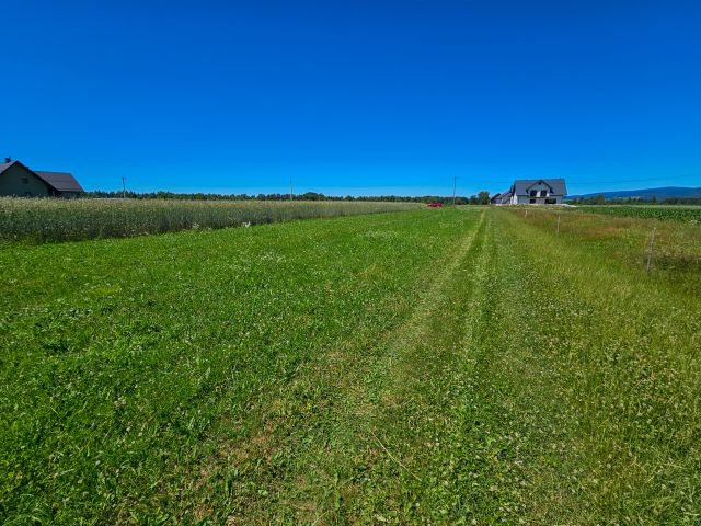 Działka budowlana Nowa Biała. Zdjęcie 5