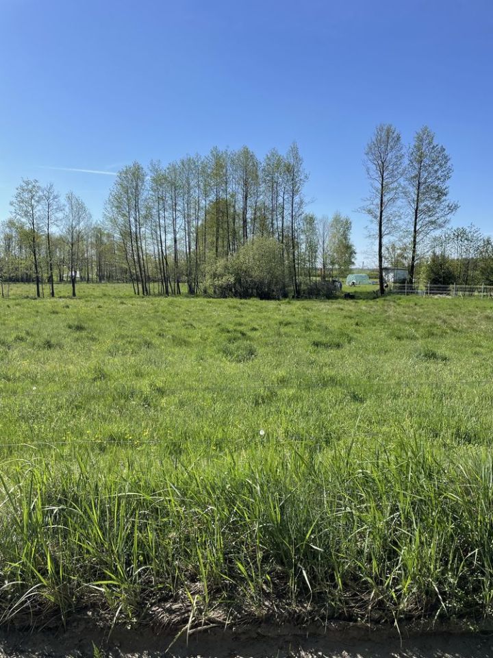 Działka rolno-budowlana Adamowo. Zdjęcie 4