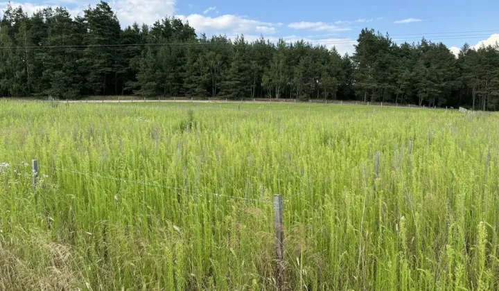 Działka budowlana Filice