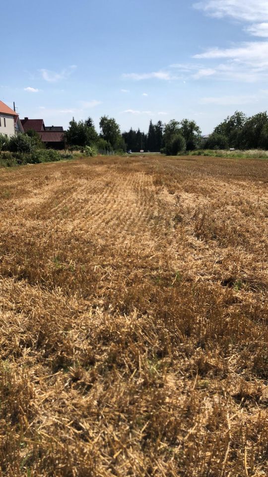 Działka budowlana Zamość, ul. Lwowska. Zdjęcie 5