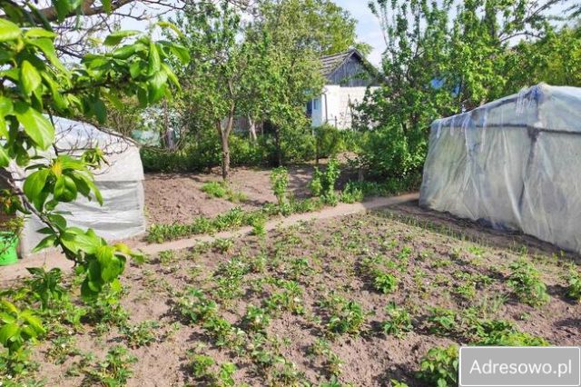 Działka rekreacyjna Tarnobrzeg Mokrzyszów, ul. Glinkowa. Zdjęcie 1