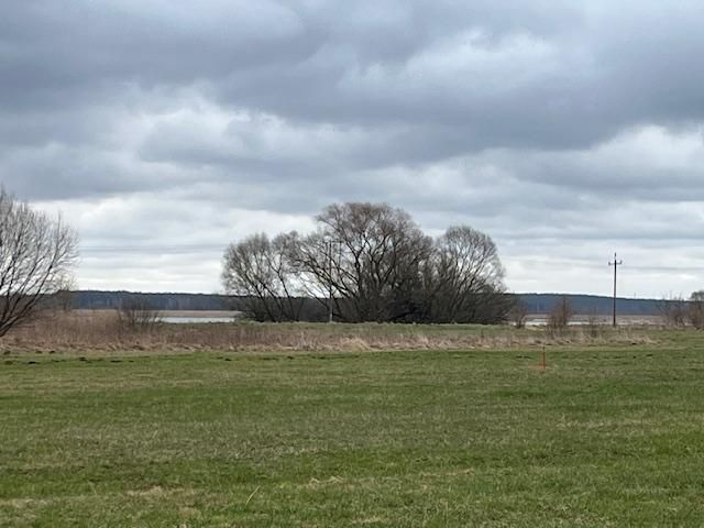 Działka budowlana Łapy Bociany, ul. Krucza. Zdjęcie 4