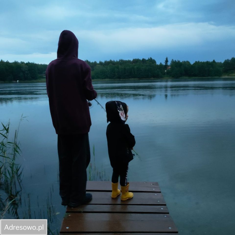 Działka leśna Anastazewo. Zdjęcie 15