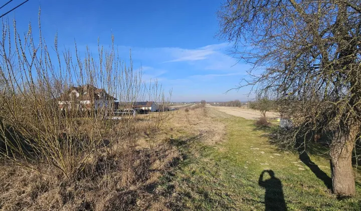 Działka rolno-budowlana Mirzec Mirzec-Poddąbrowa