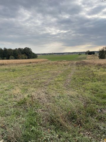 Działka rolna Żarnowica Mała. Zdjęcie 1