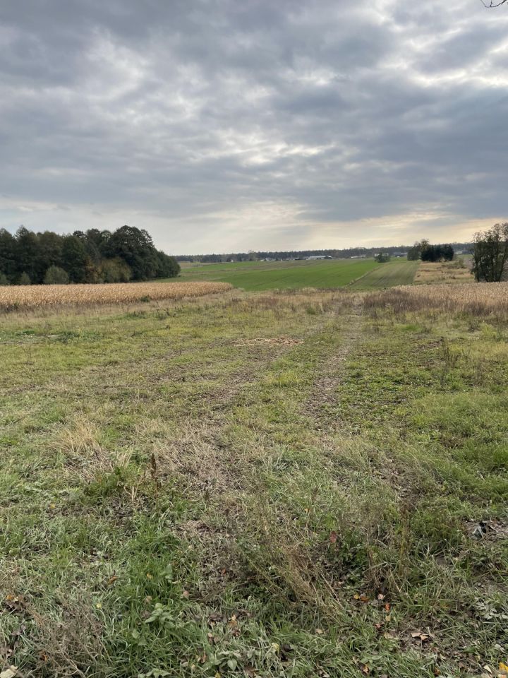 Działka rolna Żarnowica Mała