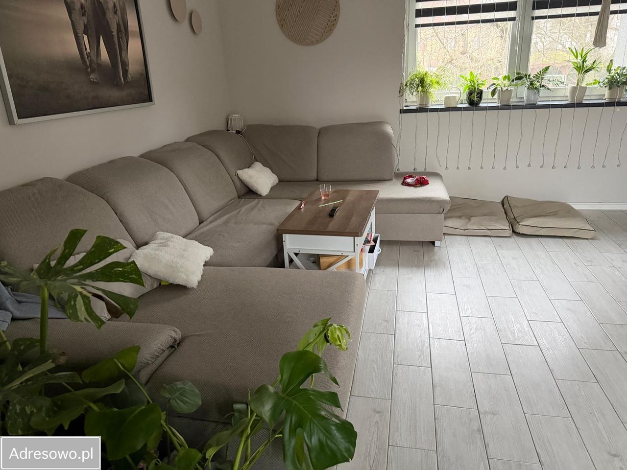 dom wolnostojący, 2 pokoje Jaworzno. Zdjęcie 8