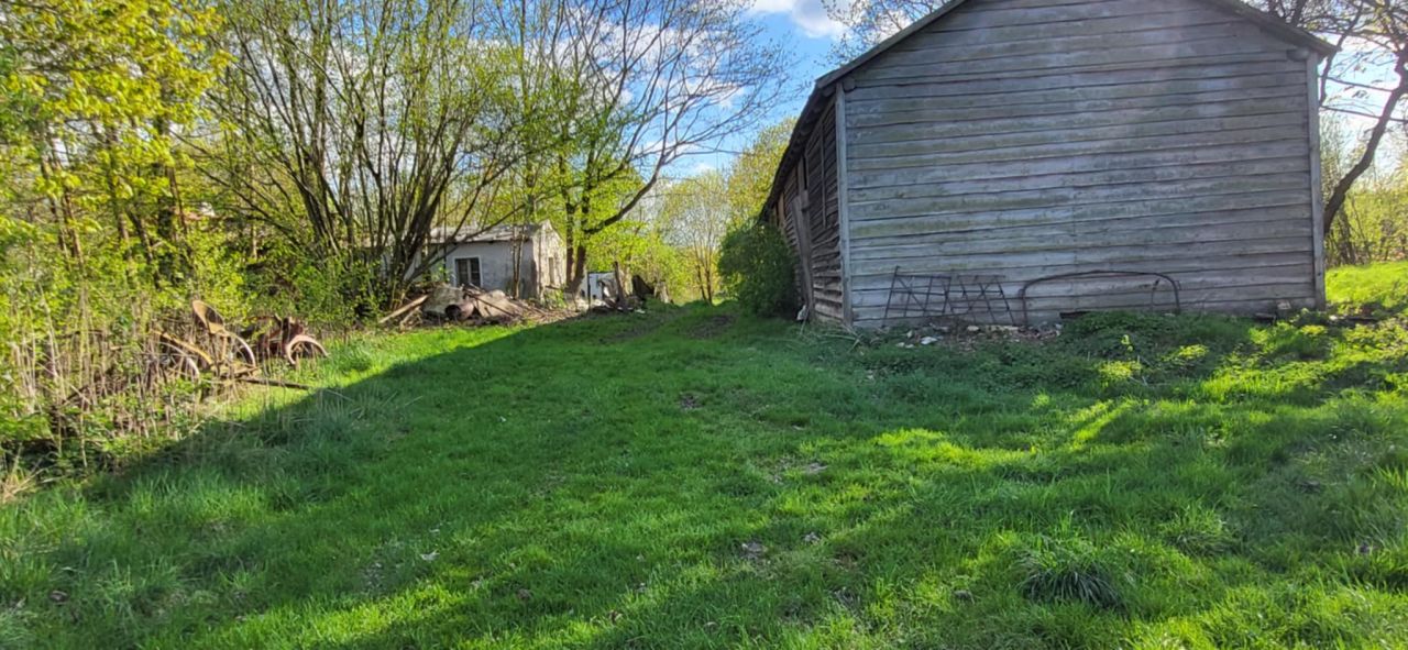 siedlisko Boguszewo, Boguszewo. Zdjęcie 8