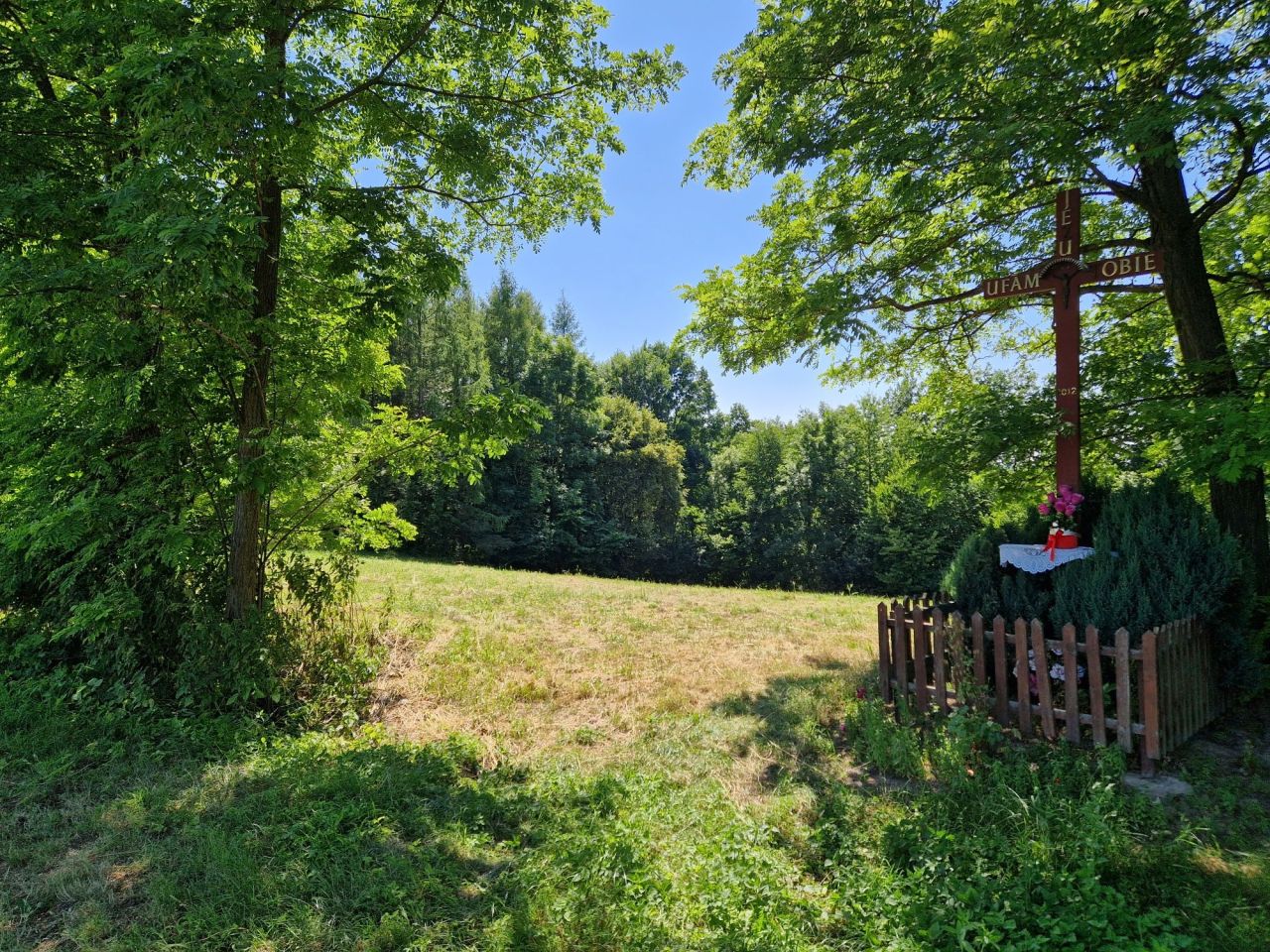 Działka rolno-budowlana Zamszany. Zdjęcie 5