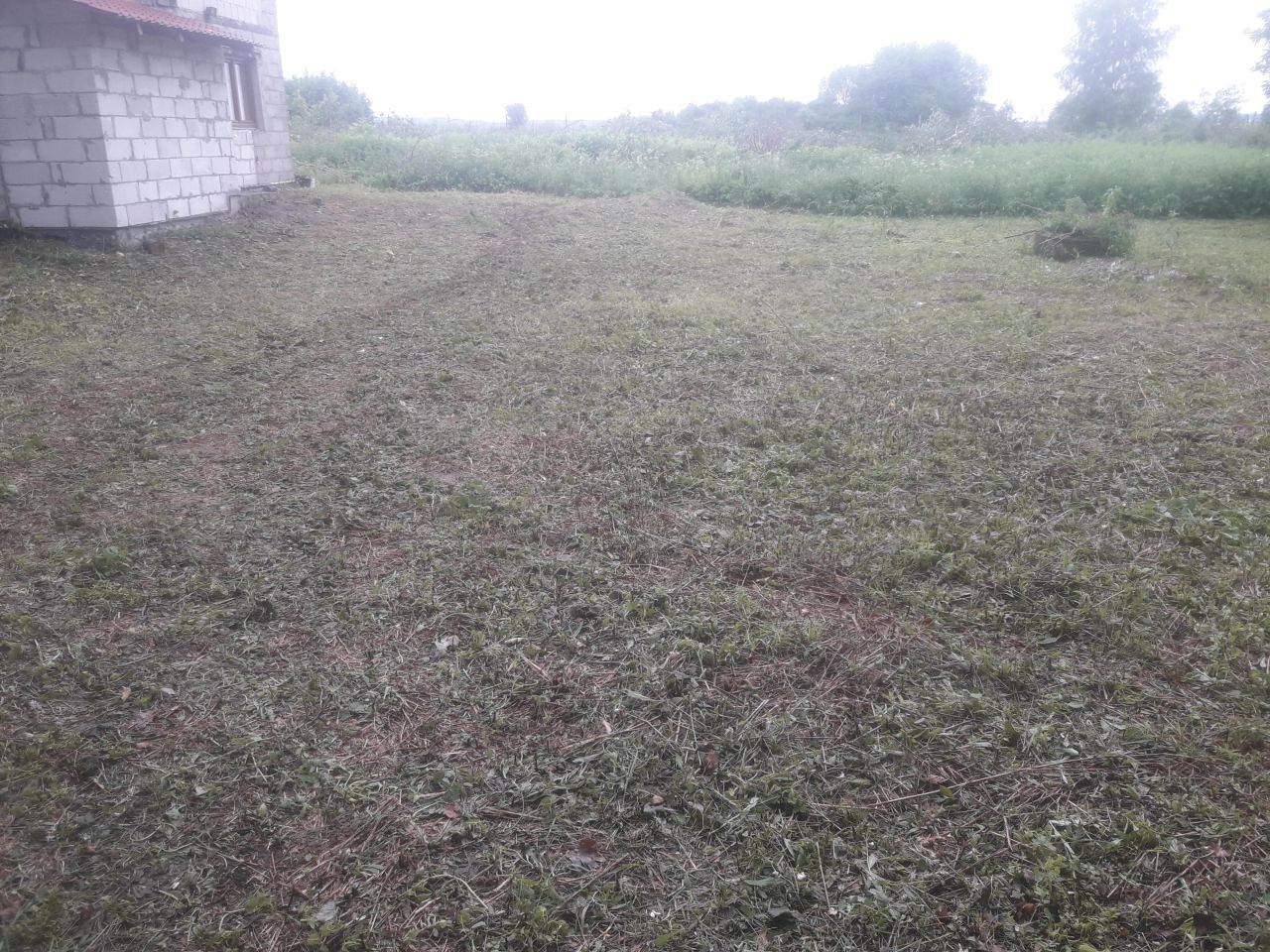 siedlisko, 3 pokoje Werchrata Łozy. Zdjęcie 15