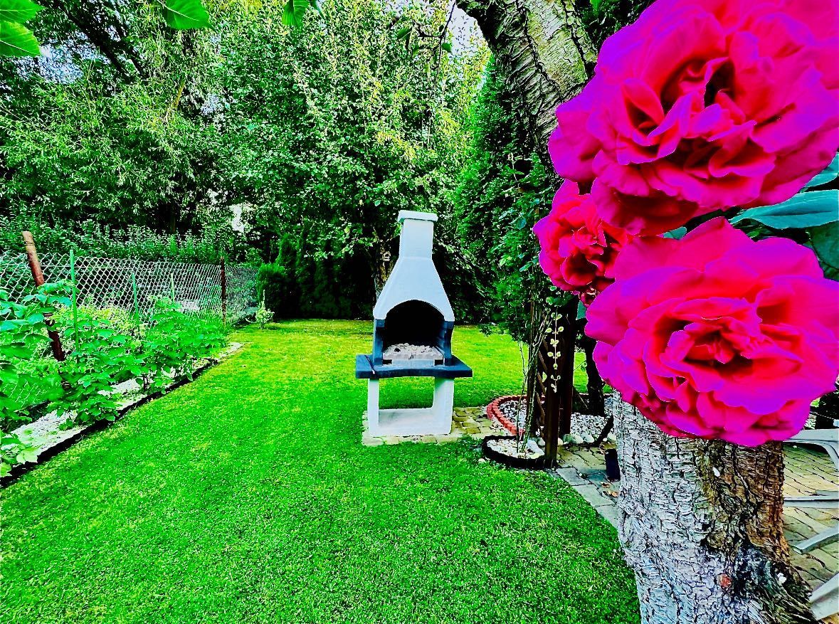 Działka rod Gliwice Ligota Zabrska. Zdjęcie 7