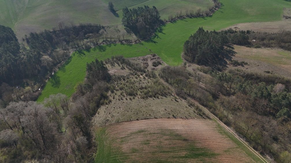 Działka rolna Rybieniec. Zdjęcie 4
