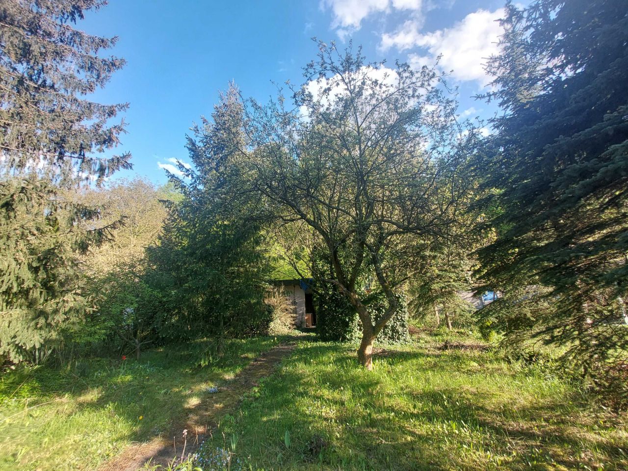 Działka rod Poznań Warszawskie