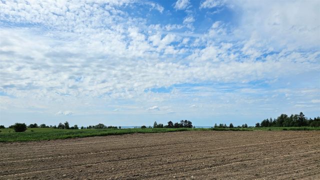 Działka rolna Dziubiele. Zdjęcie 18