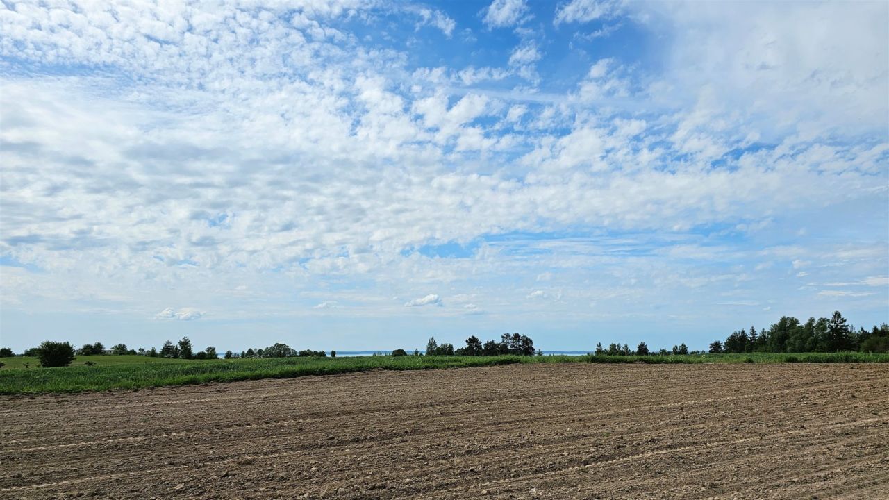 Działka rolna Dziubiele. Zdjęcie 18