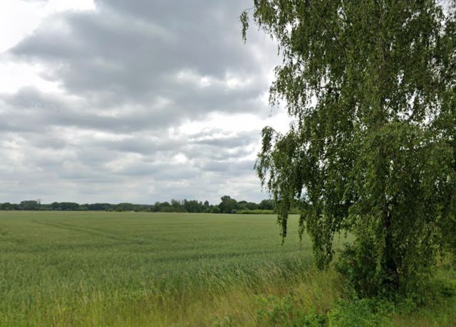 Działka rolna Cieśle. Zdjęcie 1