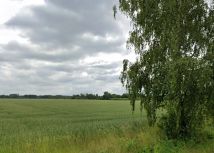 Działka rolna Cieśle