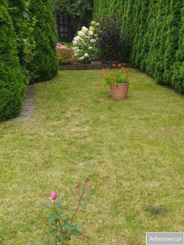 Działka rod Wrocław Psie Pole. Zdjęcie 1