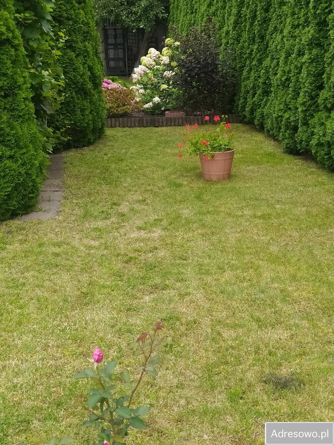 Działka rod Wrocław Psie Pole. Zdjęcie 1
