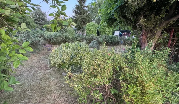 Działka rod Zduńska Wola