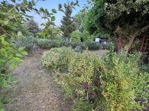 Działka rod Zduńska Wola