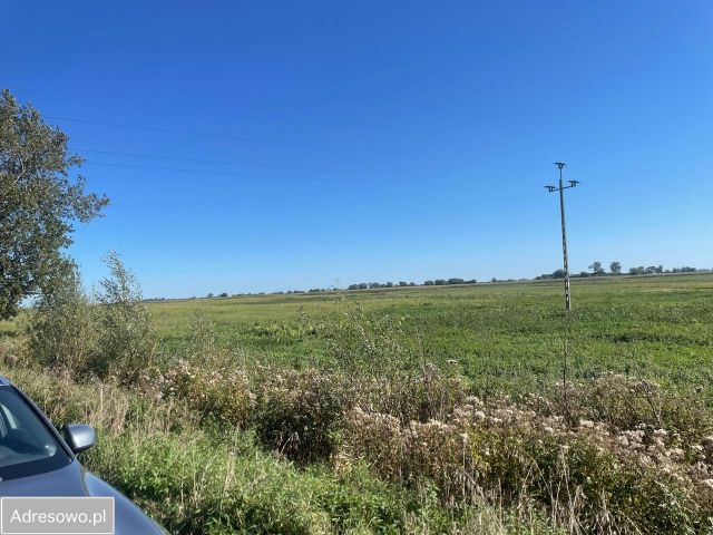 Działka rolno-budowlana Różyny. Zdjęcie 1