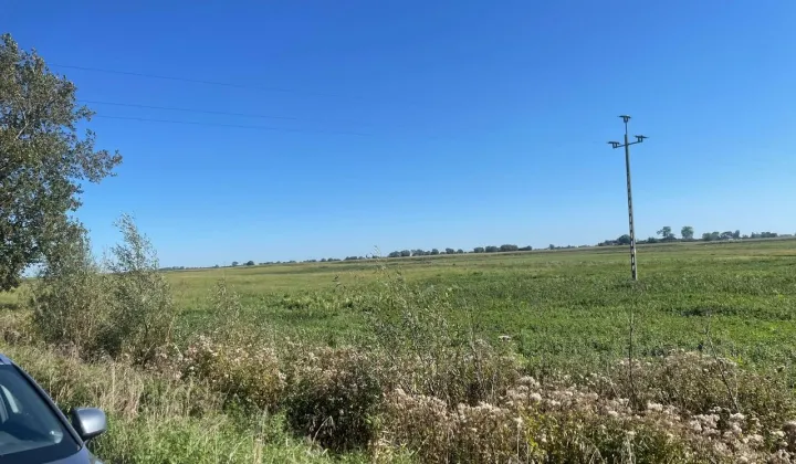 Działka rolno-budowlana Różyny