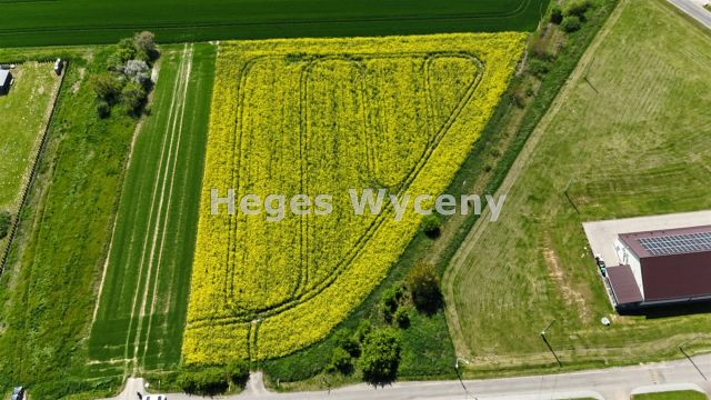 Działka inwestycyjna Snowidza. Zdjęcie 1