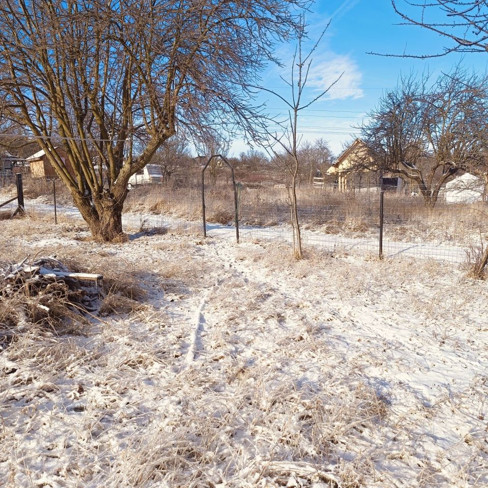 Działka rod Szczecin Bukowo, ul. Podgórna. Zdjęcie 3