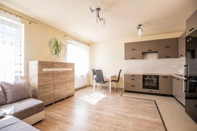 Mieszkanie 1-pokojowe Kraków Podgórze, ul. Koszykarska. Zdjęcie 1