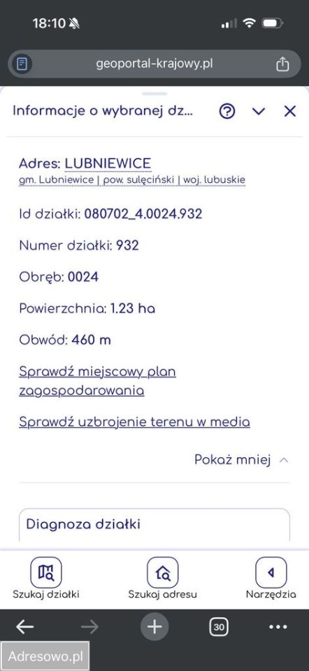 Działka rolna Lubniewice. Zdjęcie 6