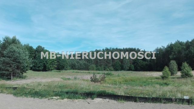 Działka rolno-budowlana Miodówko. Zdjęcie 2