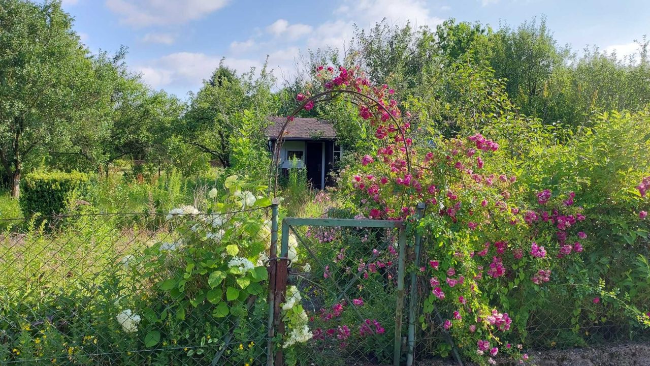 Działka rod Jelenia Góra Zabobrze. Zdjęcie 6