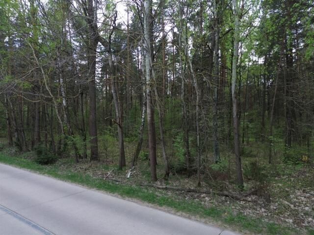 Działka Barszczewo. Zdjęcie 4