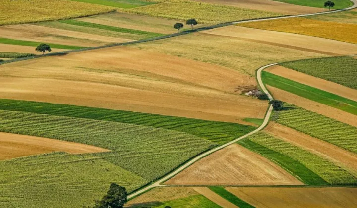 Działka rolna Wielki Mędromierz