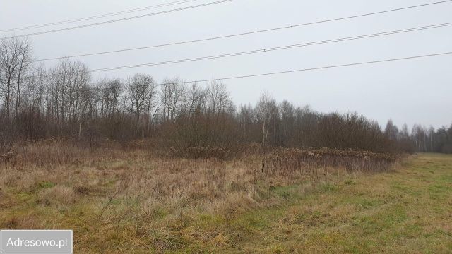 Działka rolna Długa Kościelna, ul. Forsycji. Zdjęcie 1