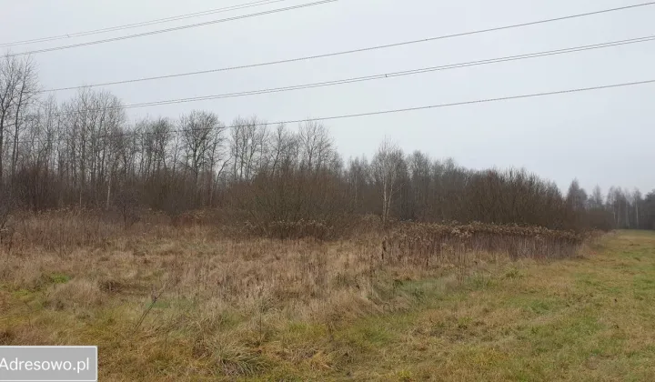 Działka rolna Długa Kościelna, ul. Forsycji