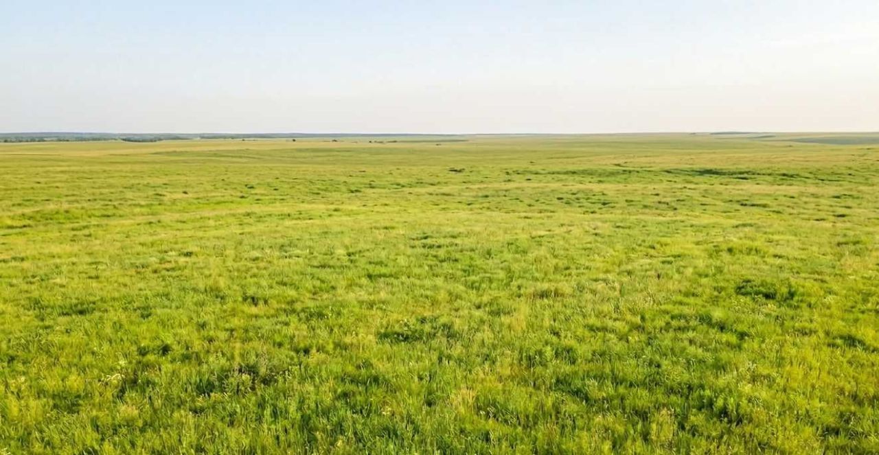 Działka budowlana Kąkolewnica. Zdjęcie 1