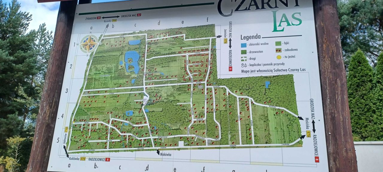 dom wolnostojący, 4 pokoje Czarny Las. Zdjęcie 3