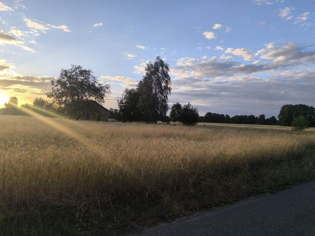 Działka budowlana Czyżeminek. Zdjęcie 1