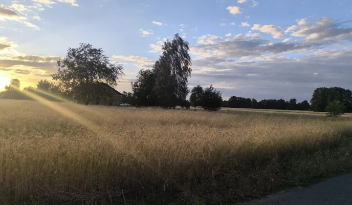 Działka budowlana Czyżeminek