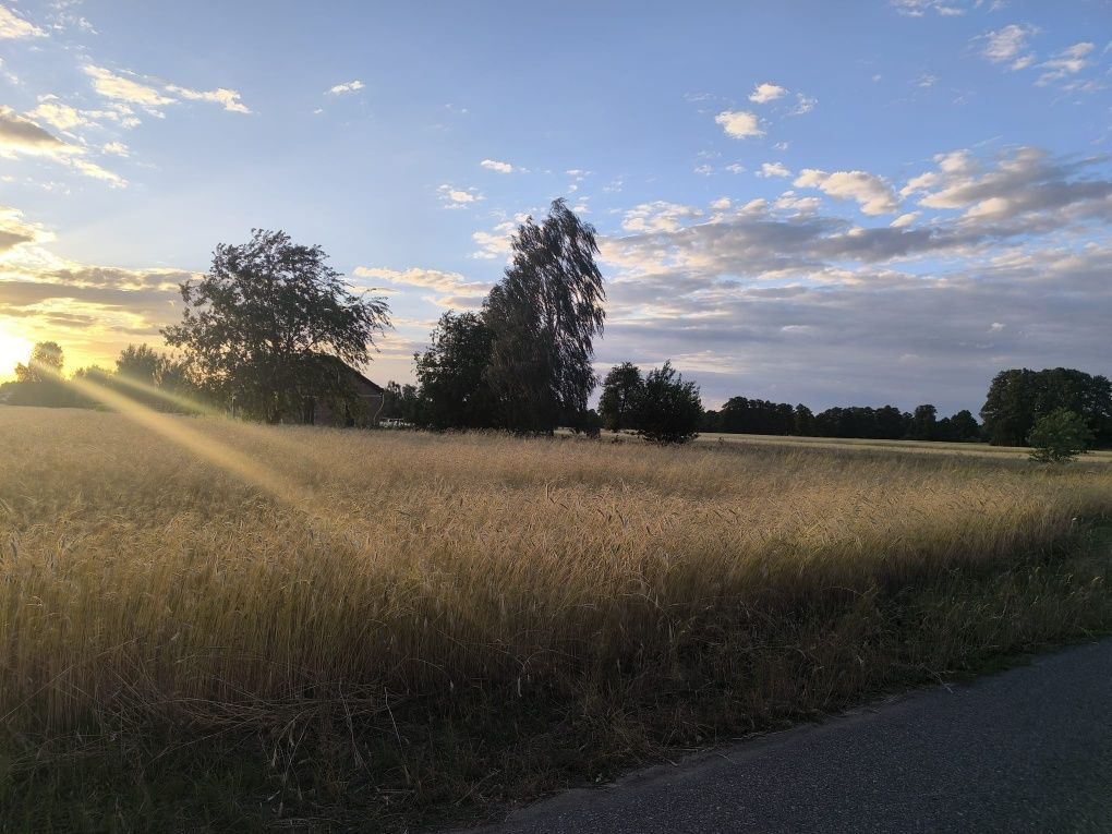 Działka budowlana Czyżeminek. Zdjęcie 1
