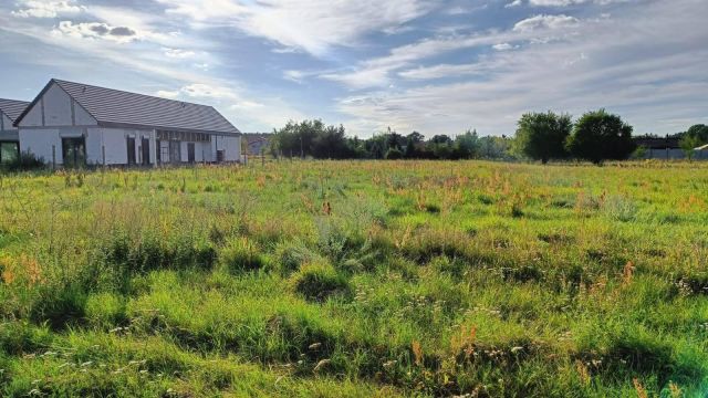Działka rolno-budowlana Nowe Żabno, Makowa. Zdjęcie 1